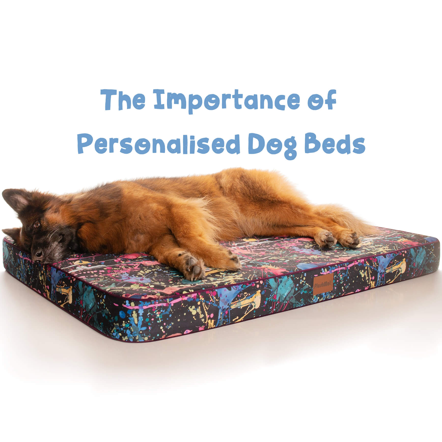 dog lying on a personalised dog bed