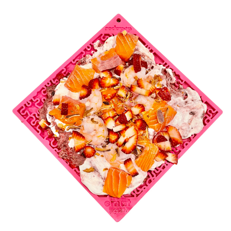 Does My Dog Need A Slow Feeder? Rover Pet Products