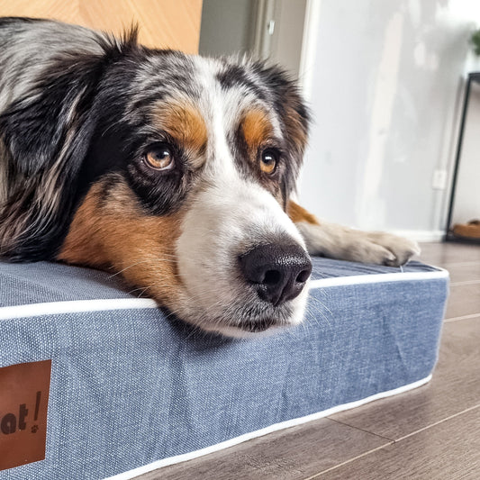 The Science of Sleep: Why Orthopedic Support is Non-Negotiable
