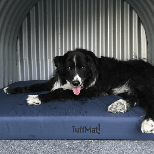 The PlushMat! Explained: Luxury Orthopaedic Comfort, Made in Australia