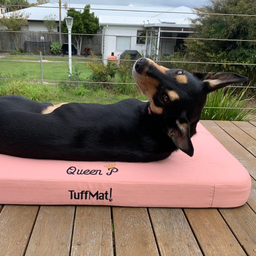 The TuffMat! Explained: Australia's Toughest Orthopaedic Dog Bed