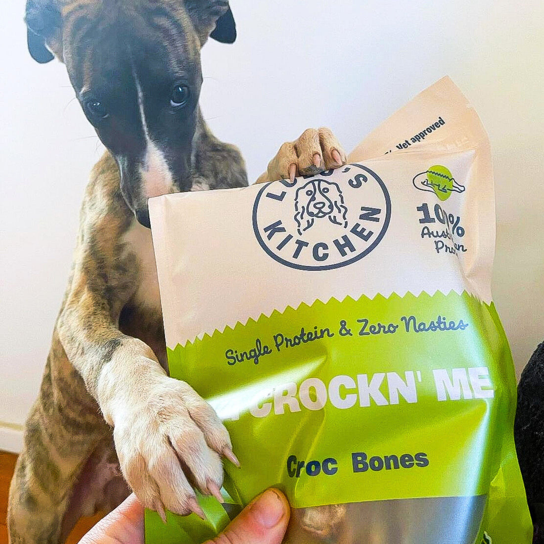 Hypoallergenic Dog Treats: Why Crocodile Is the Novel Protein to Know