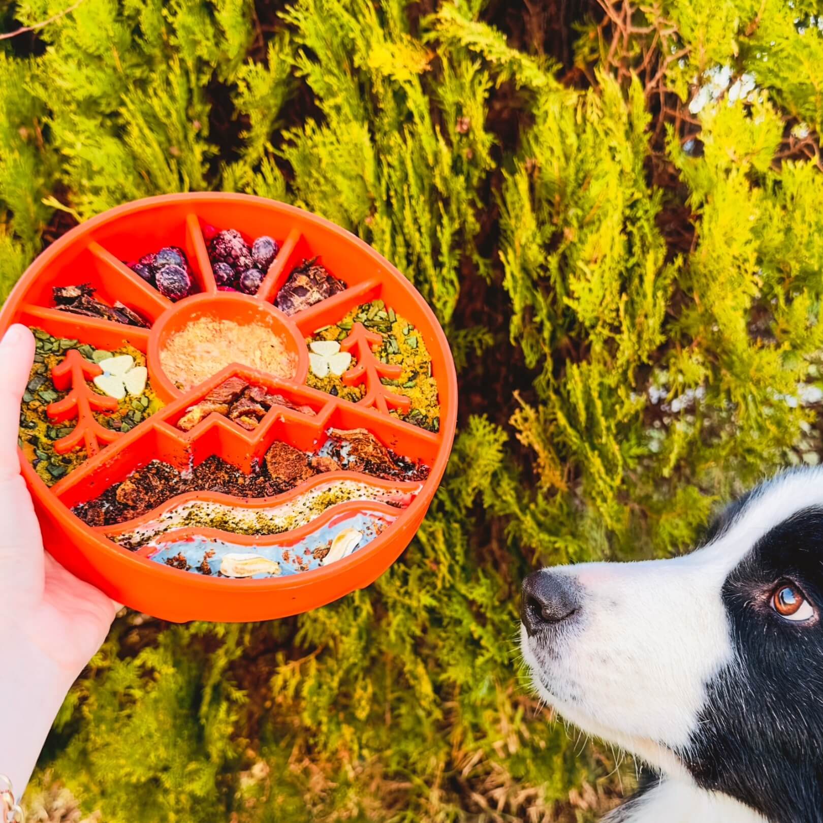 SodaPup eBowl Great Outdoors Design Enrichment Bowl Dog Slow Feeder, Green
