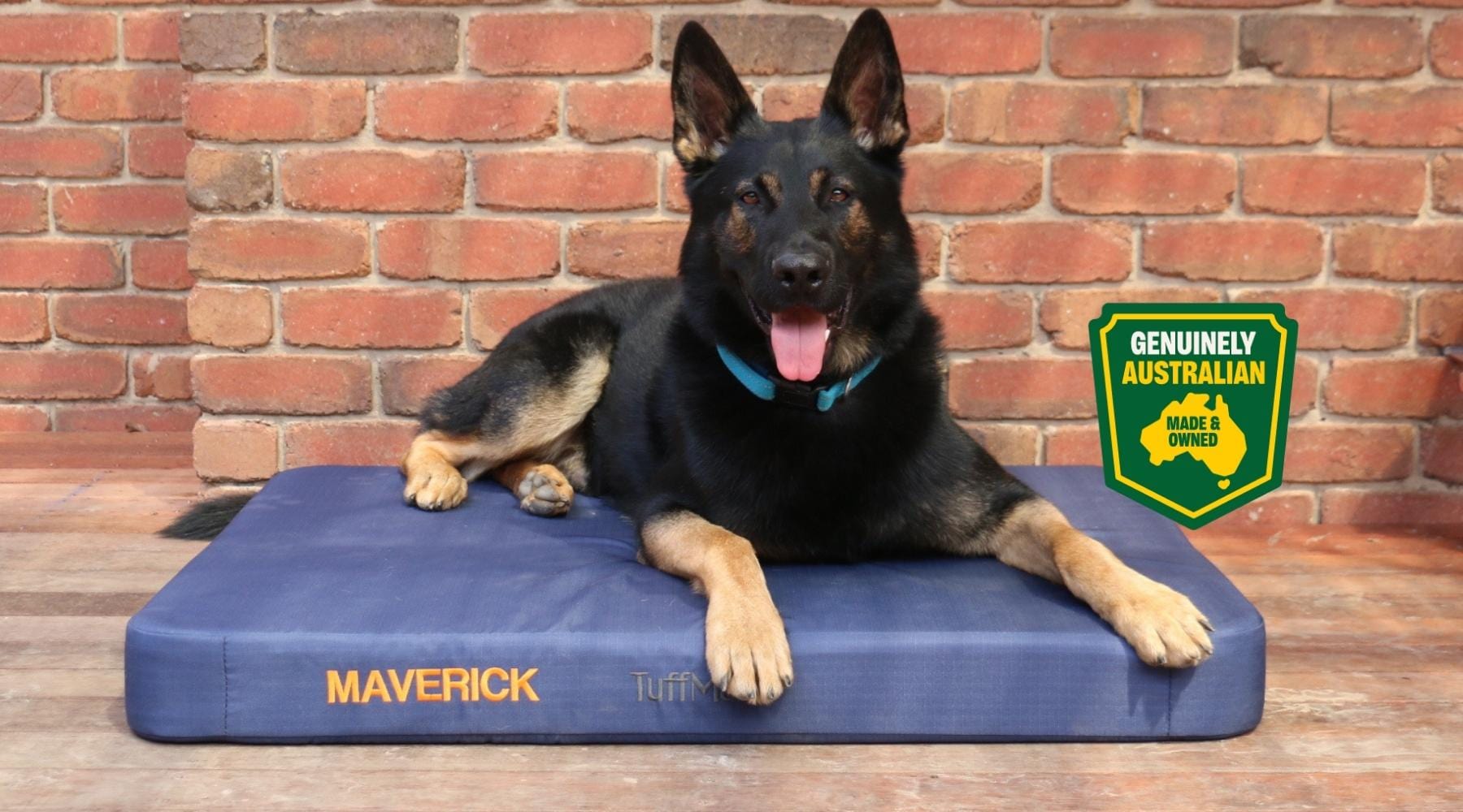 Australia's Best Online Pet Supplies Store Rover Pet Products