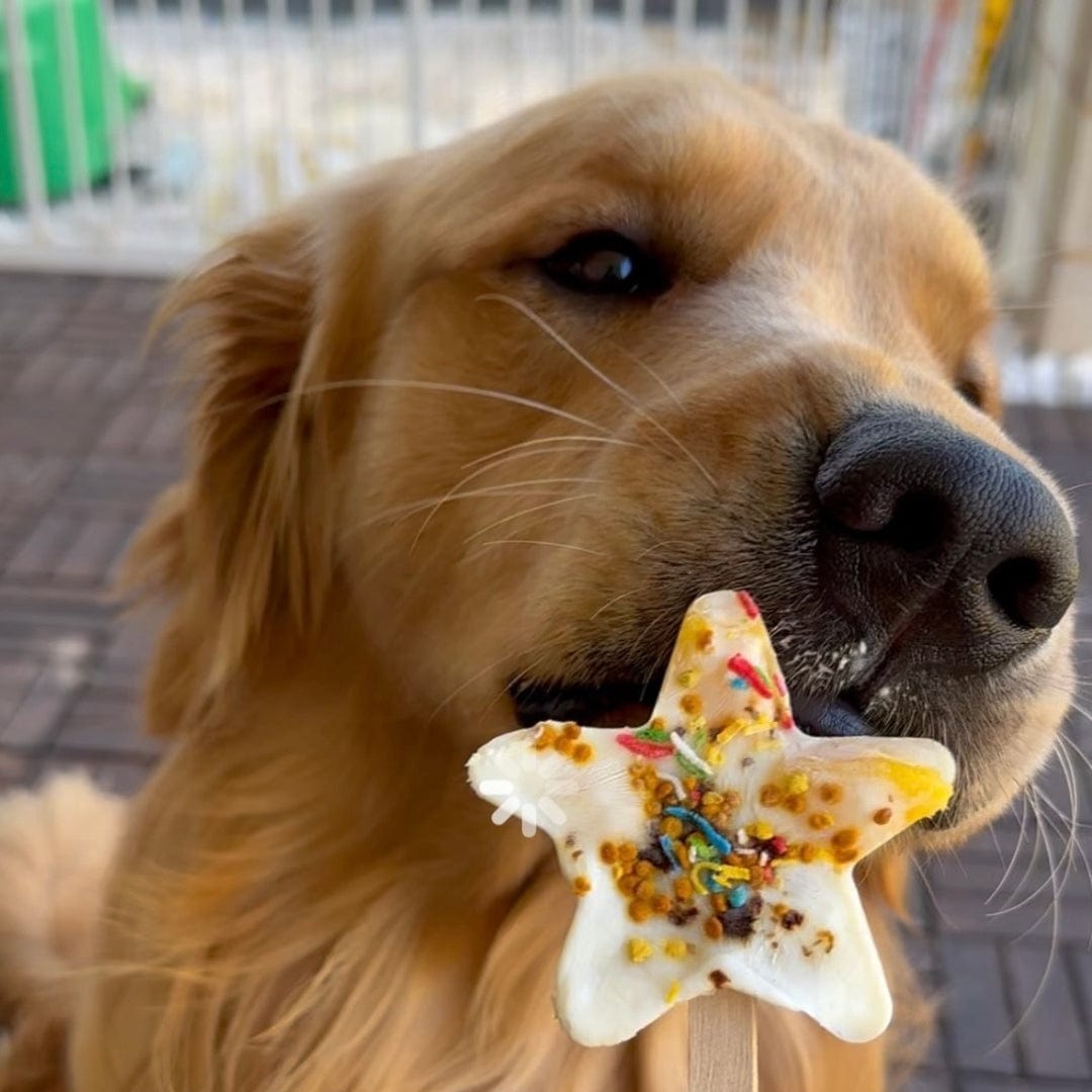 BEE-POLLEN-Dog Treat-Rover Pet Products