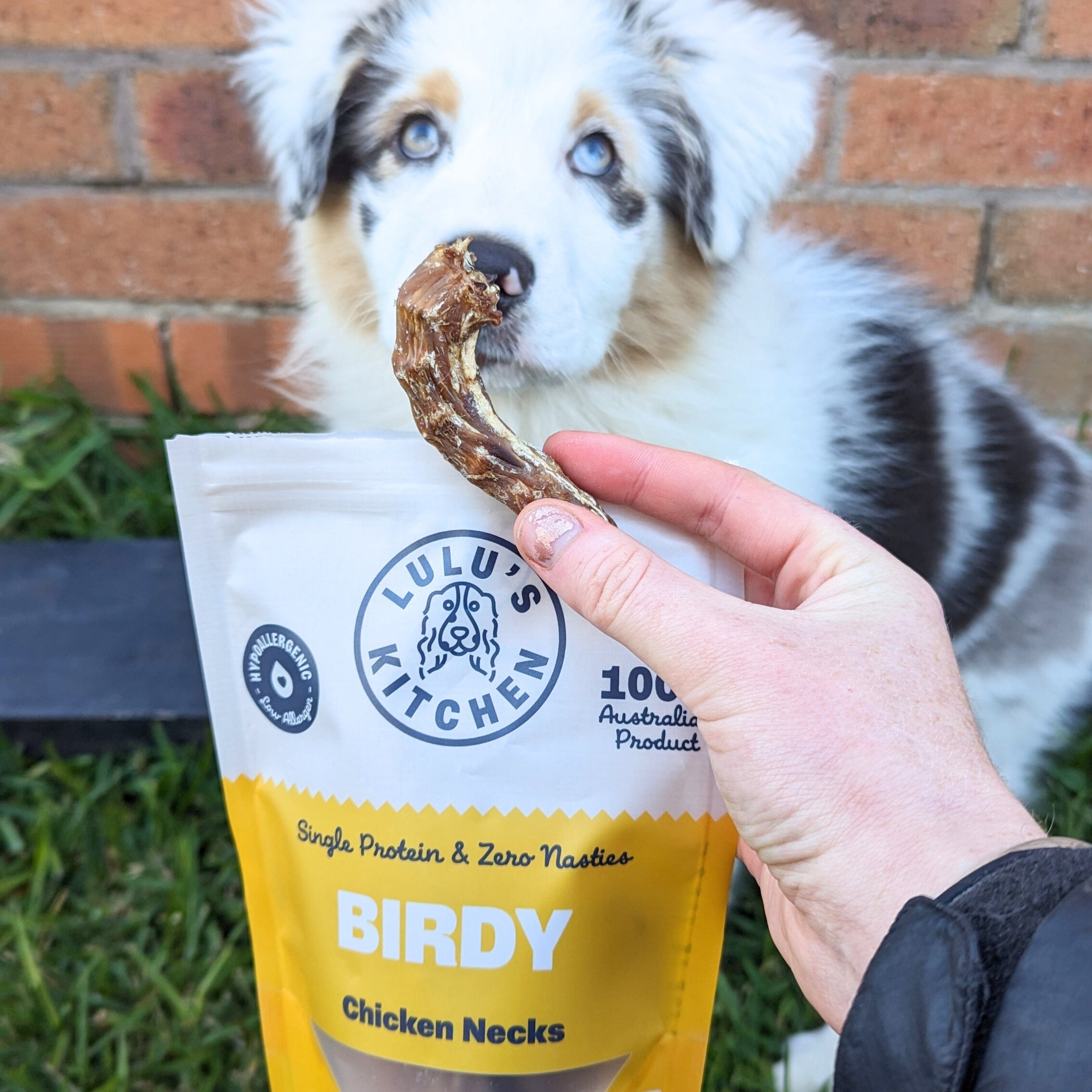 Birdy - Chicken Necks-Dog Treat-Rover Pet Products