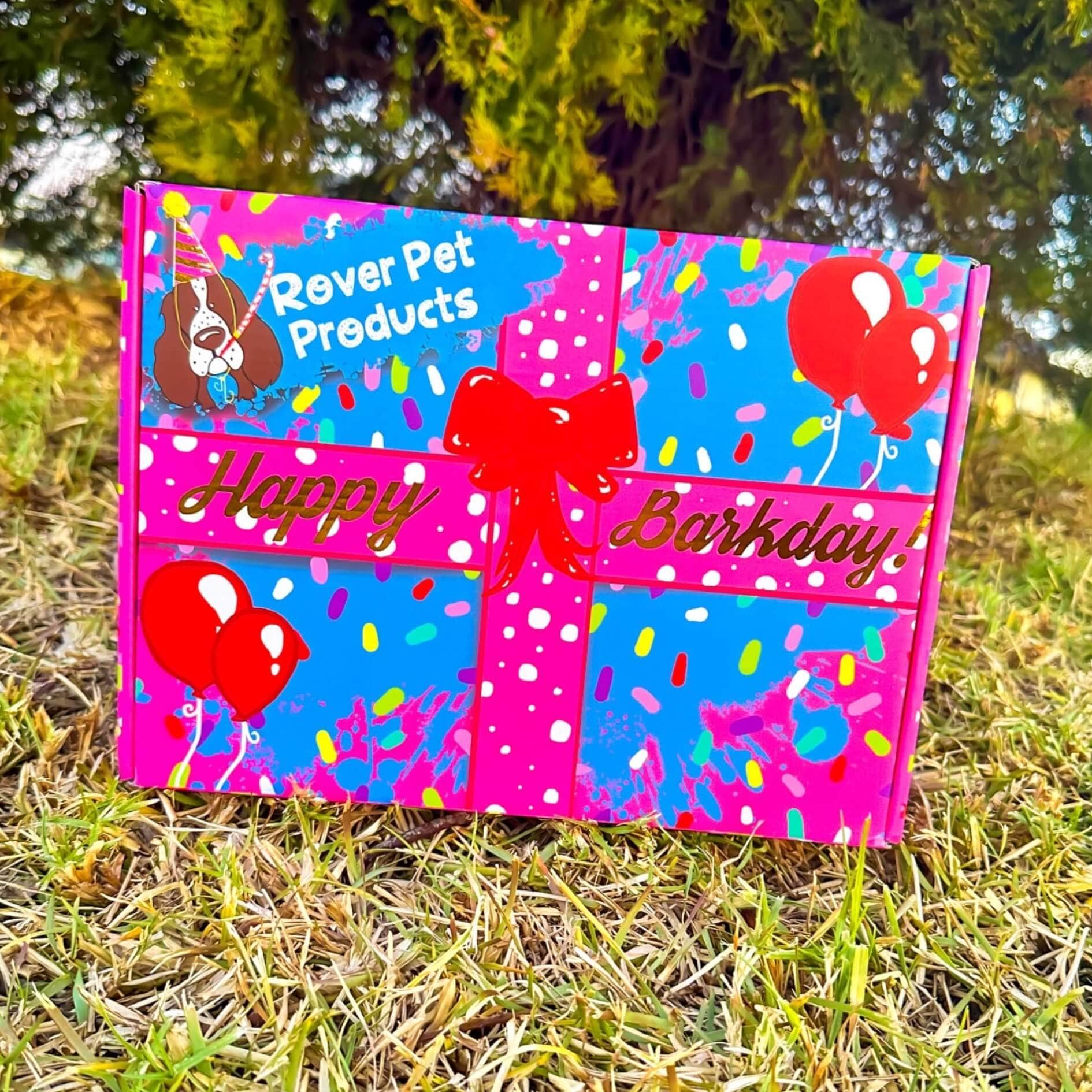 Birthday Box!-Rover Pet Products