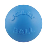Bounce-N-Play-Rover Pet Products