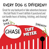 Bounce-N-Play-Rover Pet Products