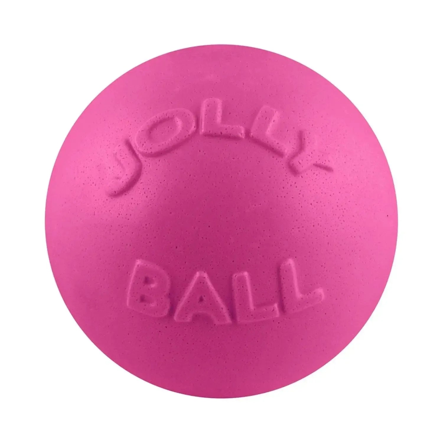 Bounce-N-Play-Rover Pet Products