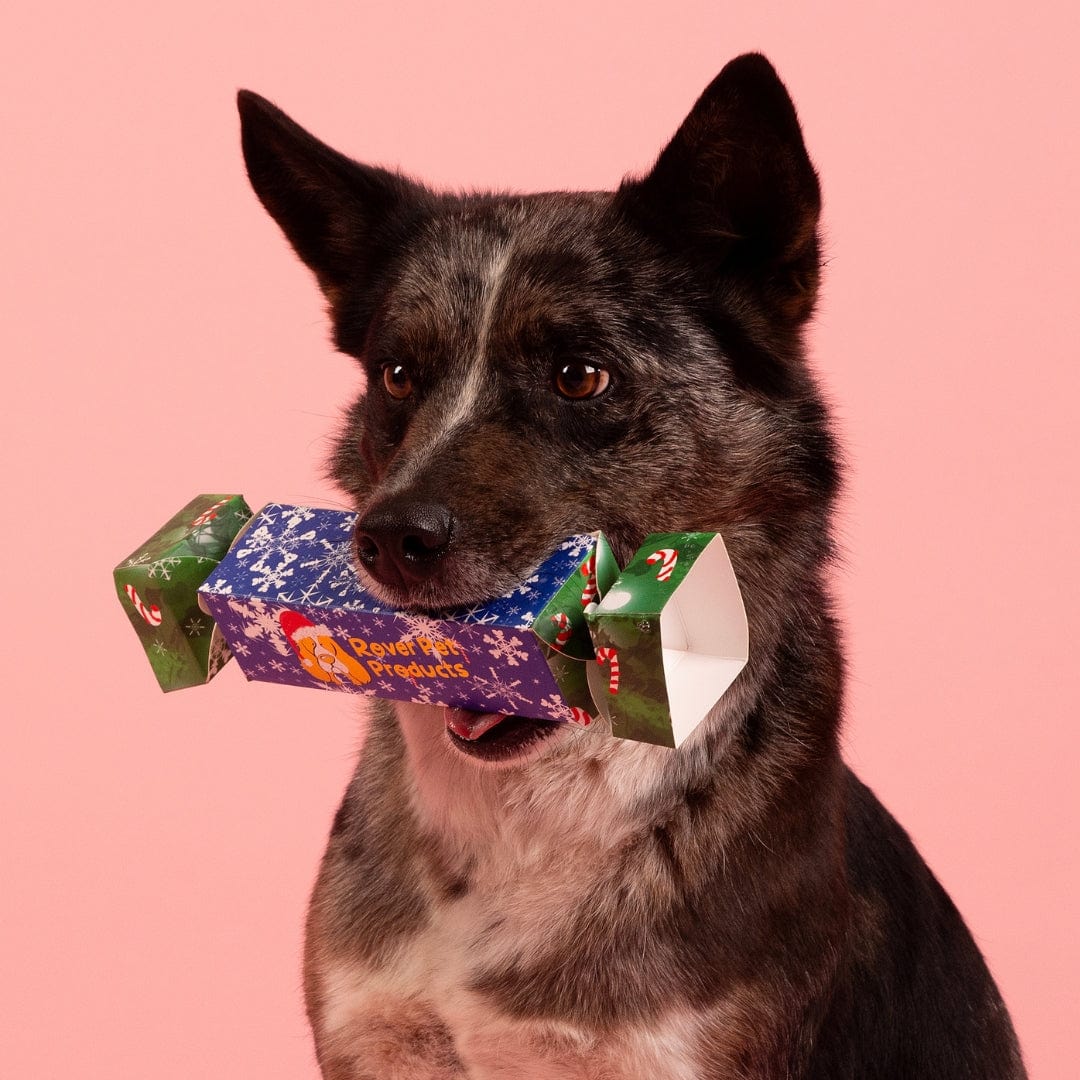 Christmas Bon Bon 2024-Rover Pet Products