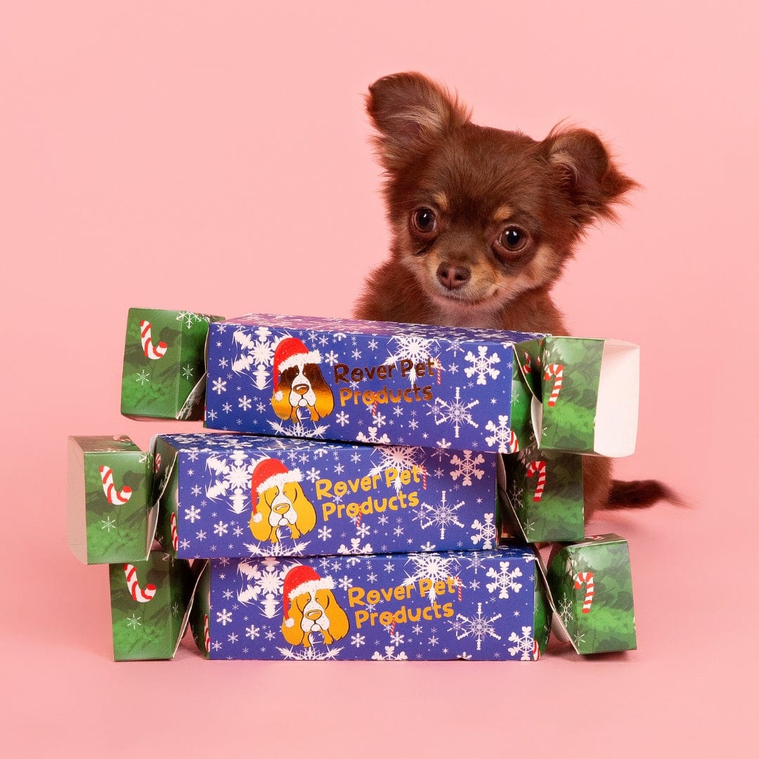 Christmas Bon Bon 2024-Rover Pet Products