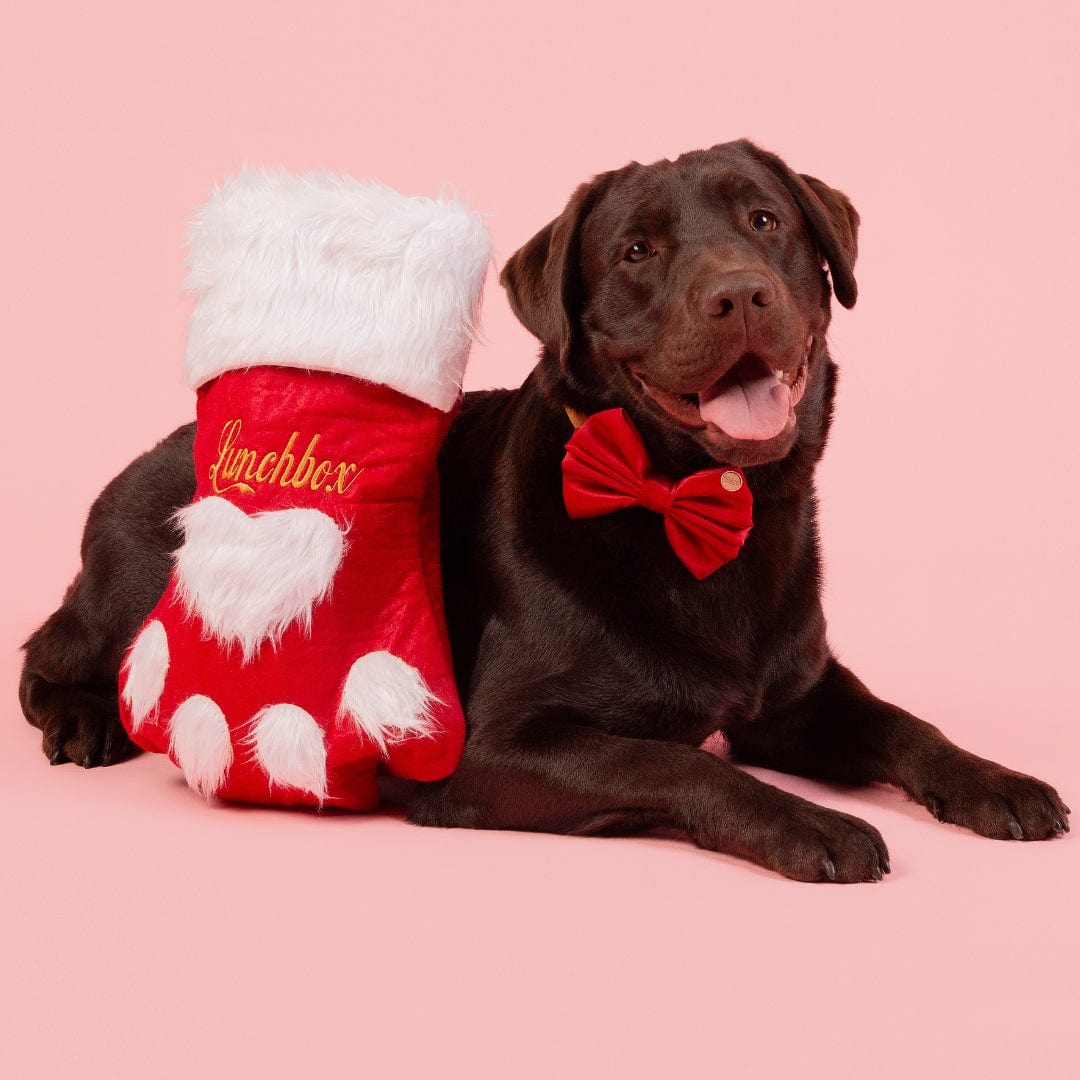 Christmas Stocking-Rover Pet Products