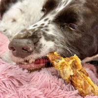 CROC RIBS-Dog Treat-Rover Pet Products