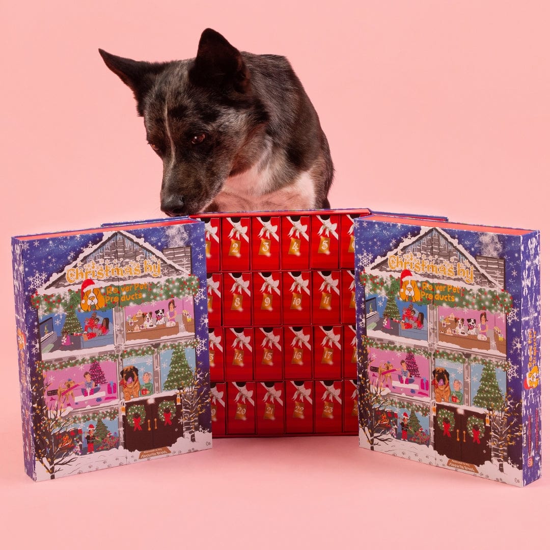 Doggy Christmas Advent Calendar 2024-Rover Pet Products