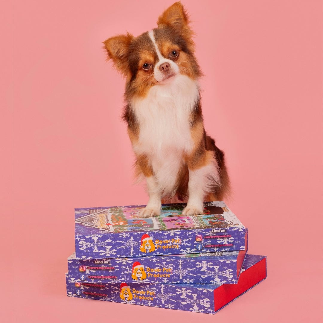 Doggy Christmas Advent Calendar 2024-Rover Pet Products