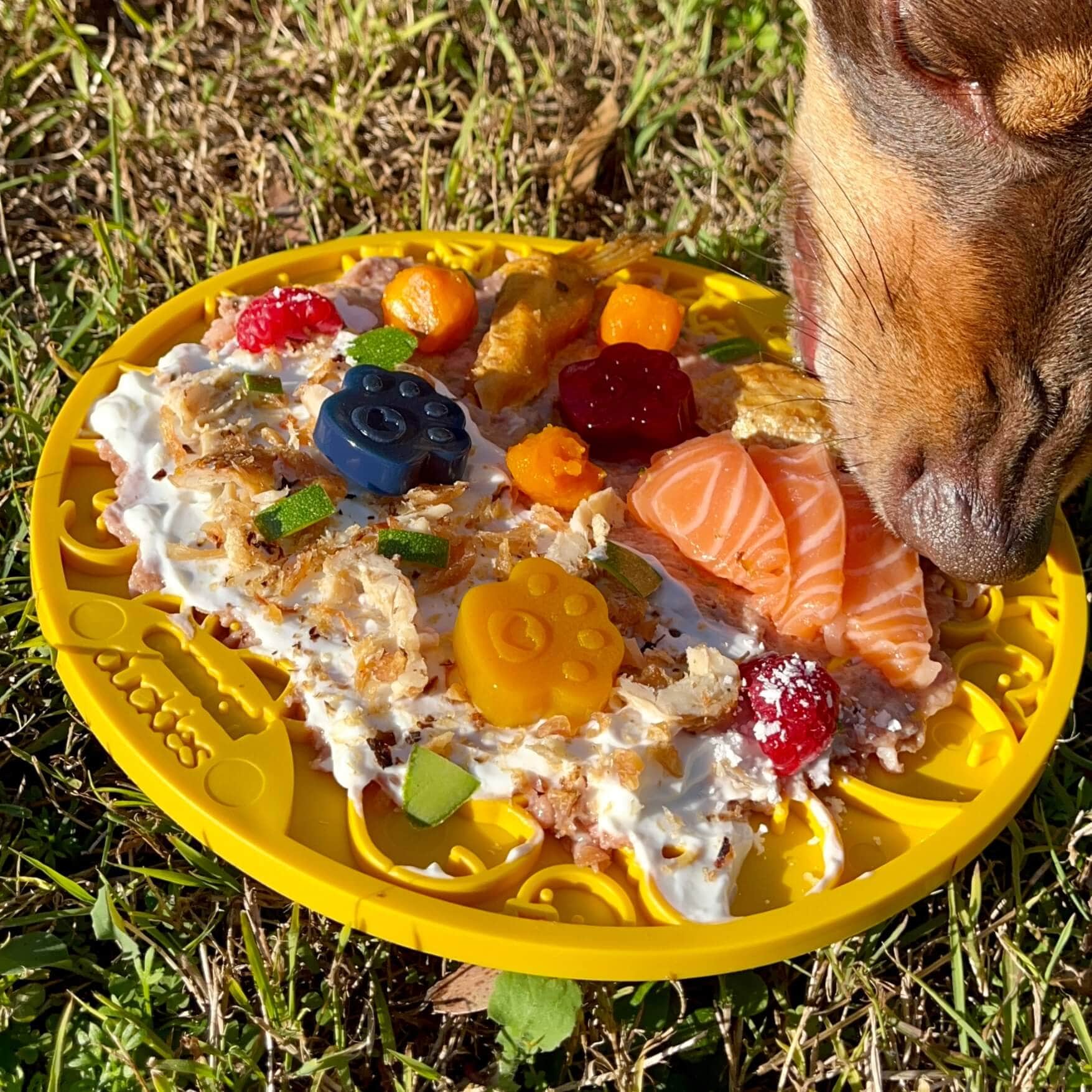 Ducky eMat Enrichment Lick Mat-Slow Feeder-Rover Pet Products