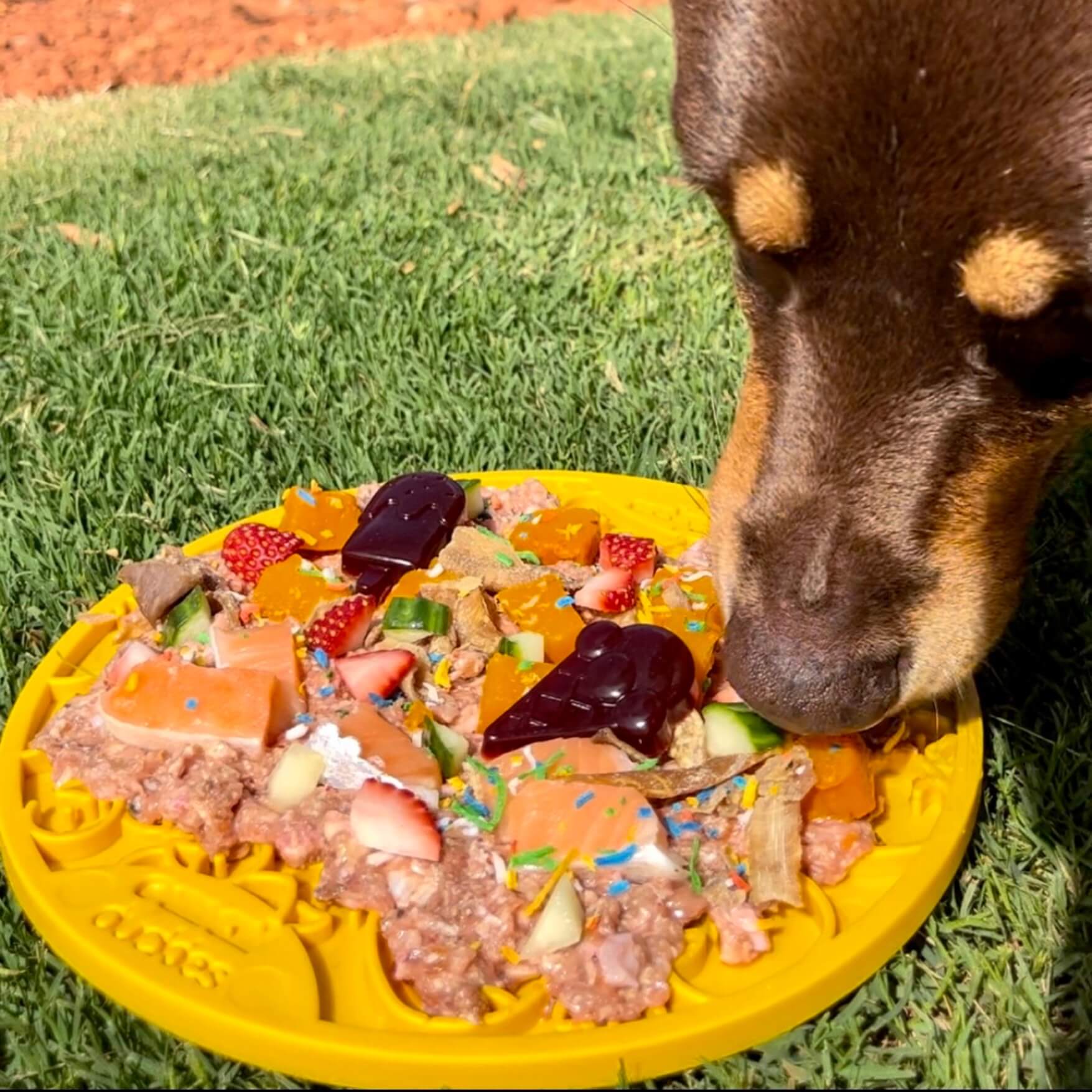 Ducky eMat Enrichment Lick Mat-Slow Feeder-Rover Pet Products