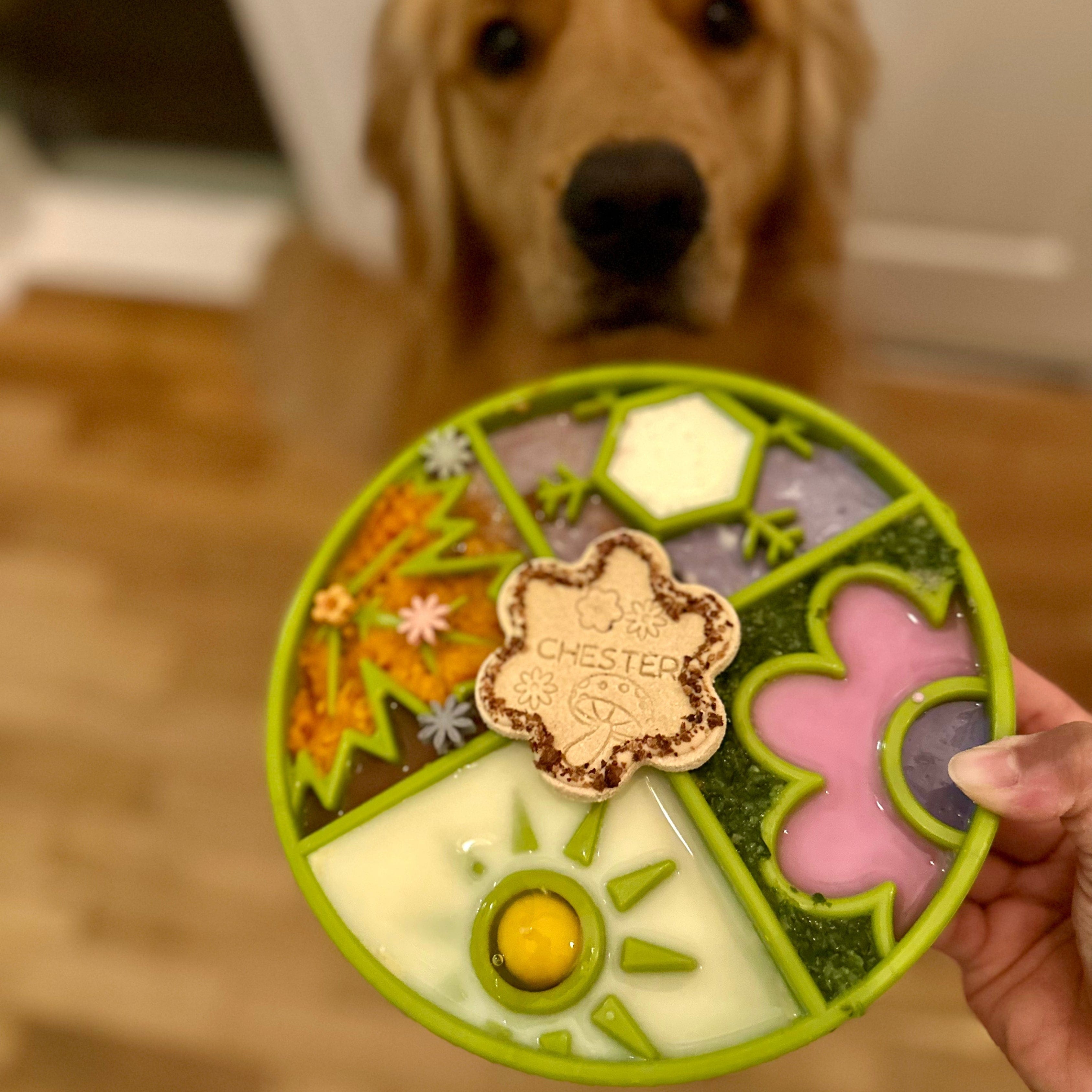 Four Seasons Shallow eBowl Slow Feeder For Dogs-Slow Feeder-Rover Pet Products