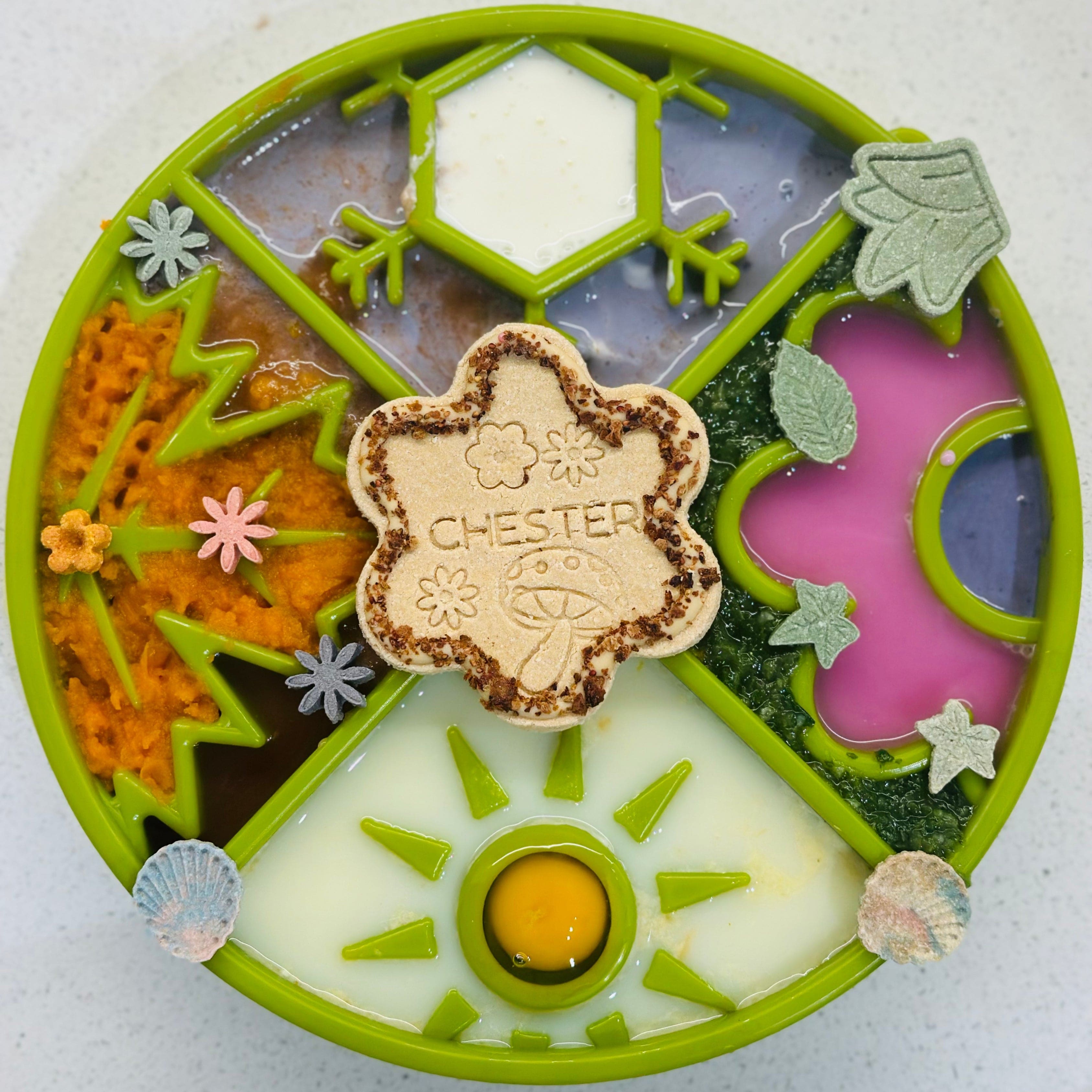 Four Seasons Shallow eBowl Slow Feeder For Dogs-Slow Feeder-Rover Pet Products