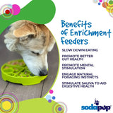 Four Seasons Shallow eBowl Slow Feeder For Dogs-Slow Feeder-Rover Pet Products