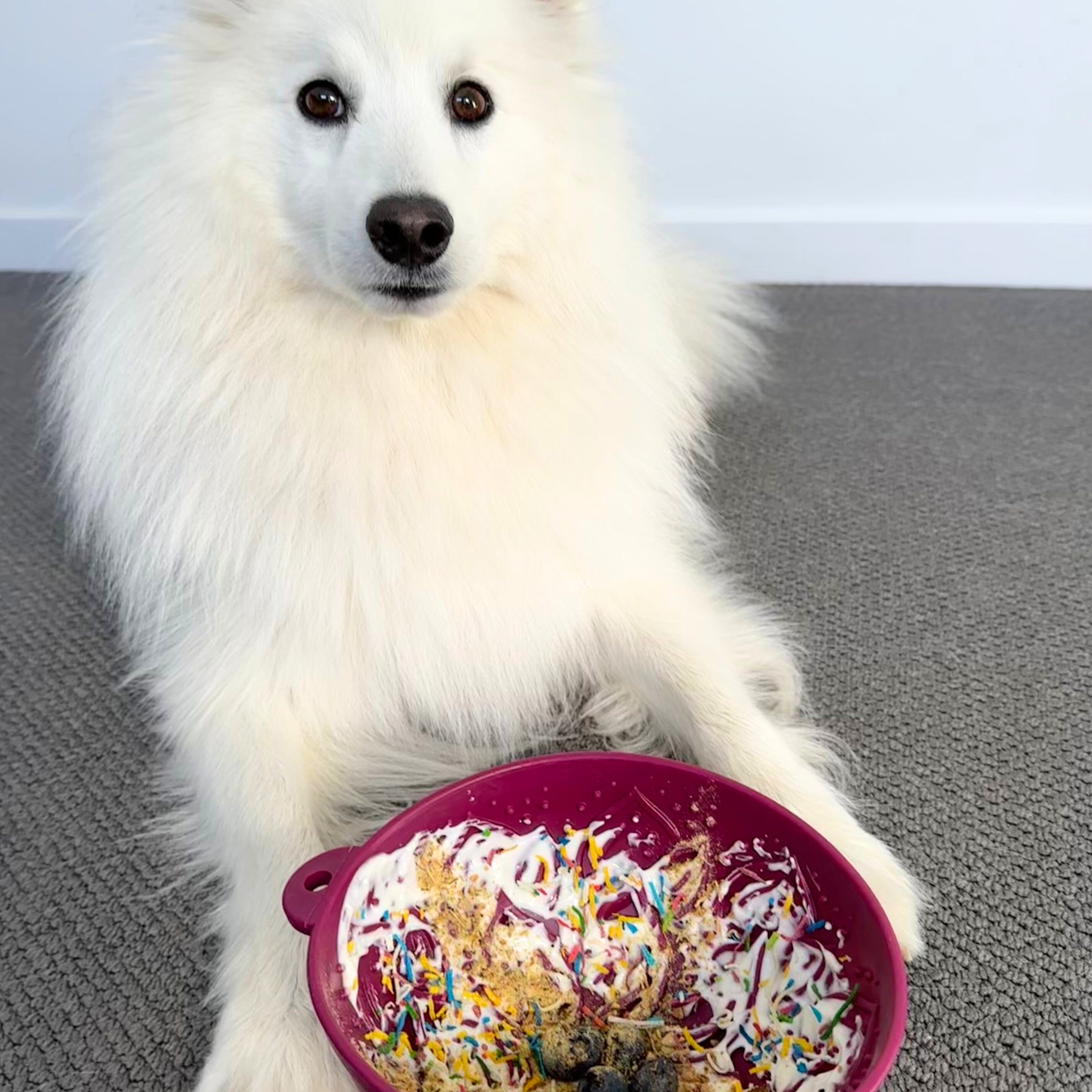 Garden of Eatin' Tipsy Bowl Lick Mat-Slow Feeder-Rover Pet Products