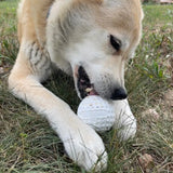 Golf Ball - Chew Toy & Treat Dispenser-Dog Toy-Rover Pet Products
