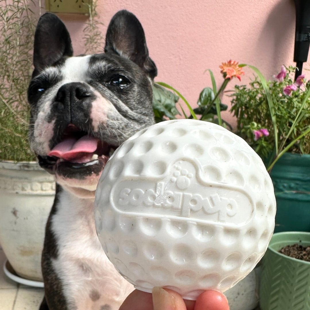 Golf Ball - Chew Toy & Treat Dispenser-Dog Toy-Rover Pet Products