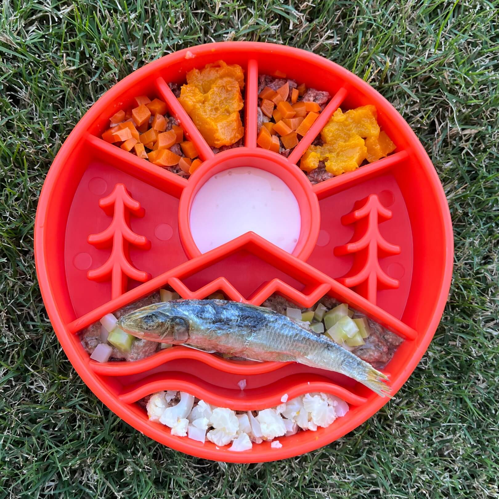 Great Outdoors eBowl-Slow Feeder-Rover Pet Products