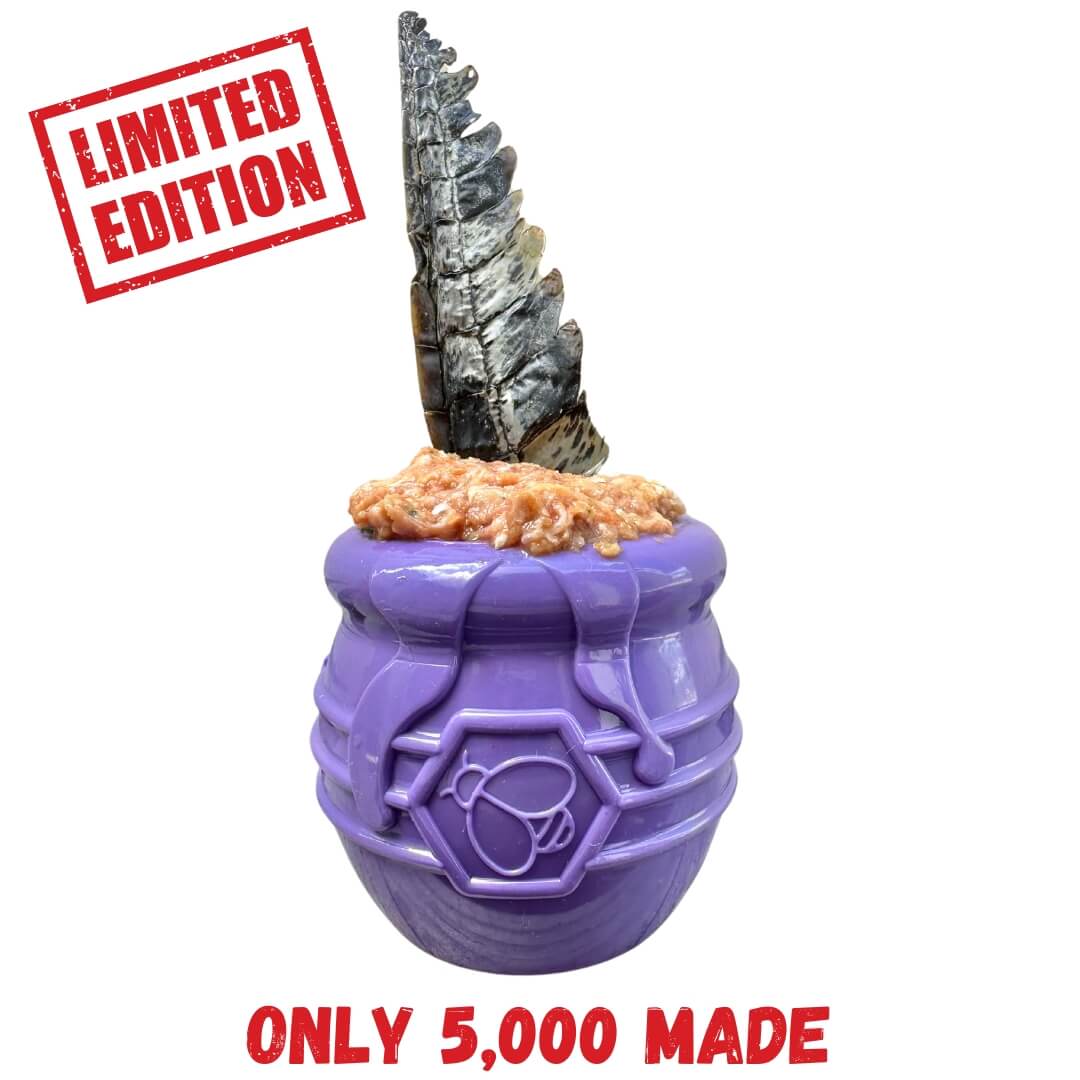 Honey Pot-Dog Toy-Rover Pet Products