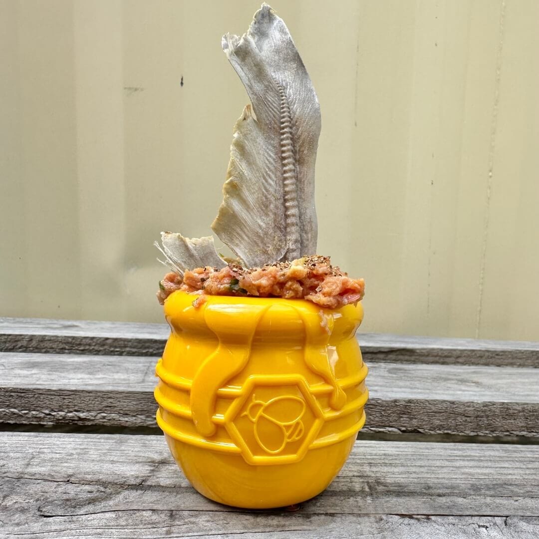 Honey Pot-Dog Toy-Rover Pet Products