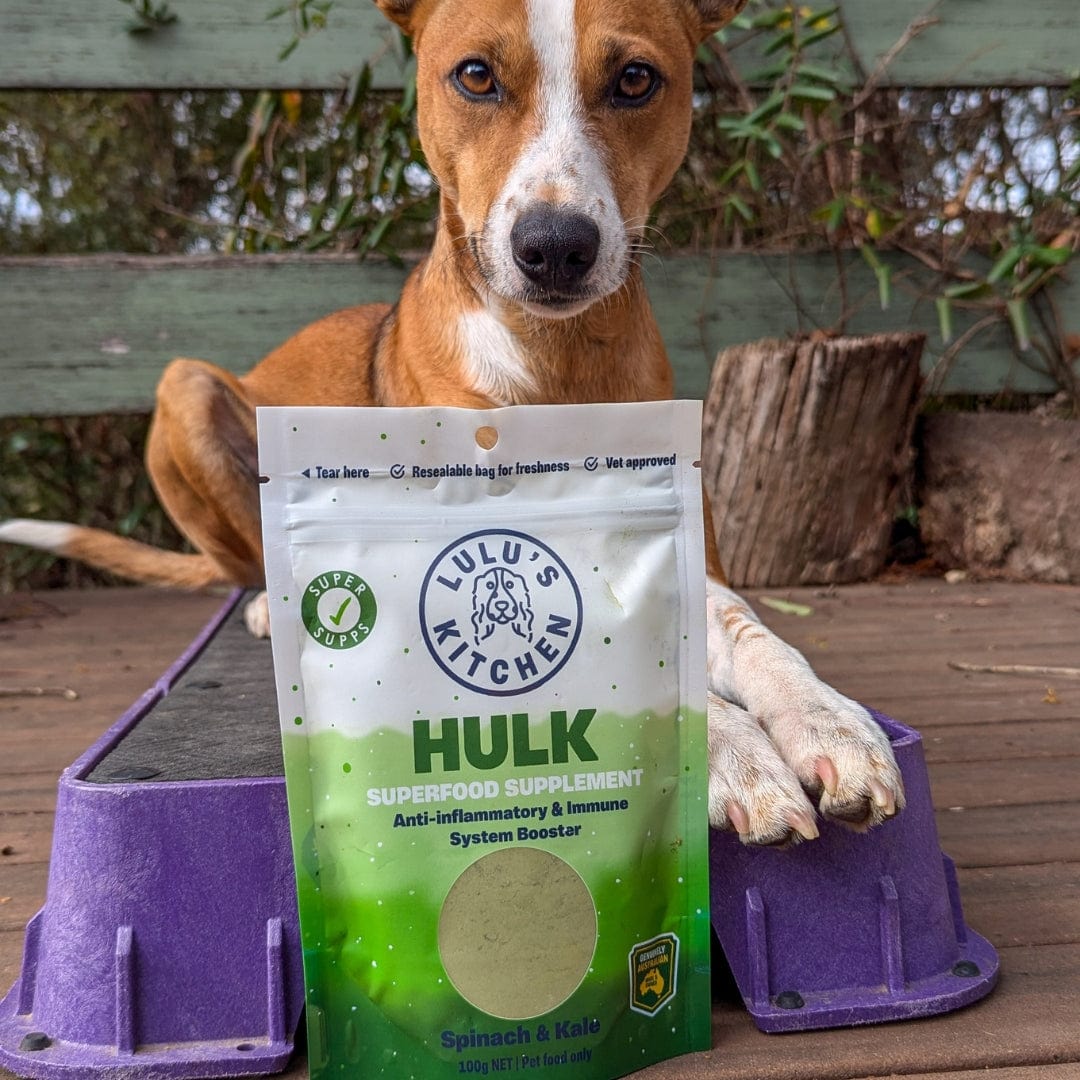 Hulk - Anti-inflammatory & Immune System Booster-Rover Pet Products
