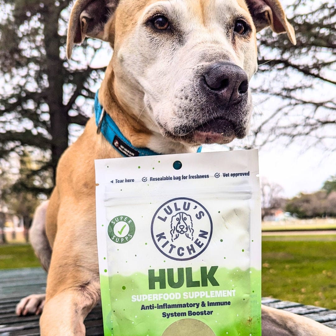 Hulk - Anti-inflammatory & Immune System Booster-Rover Pet Products
