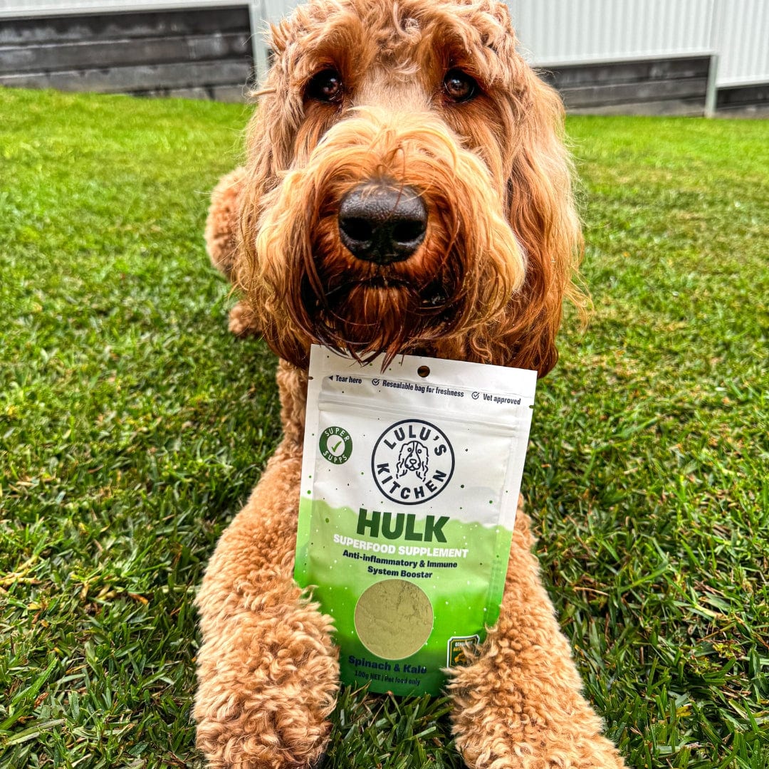 Hulk - Anti-inflammatory & Immune System Booster-Rover Pet Products