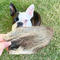 Kangaroo Ears (Furry)-Dog Treat-Rover Pet Products