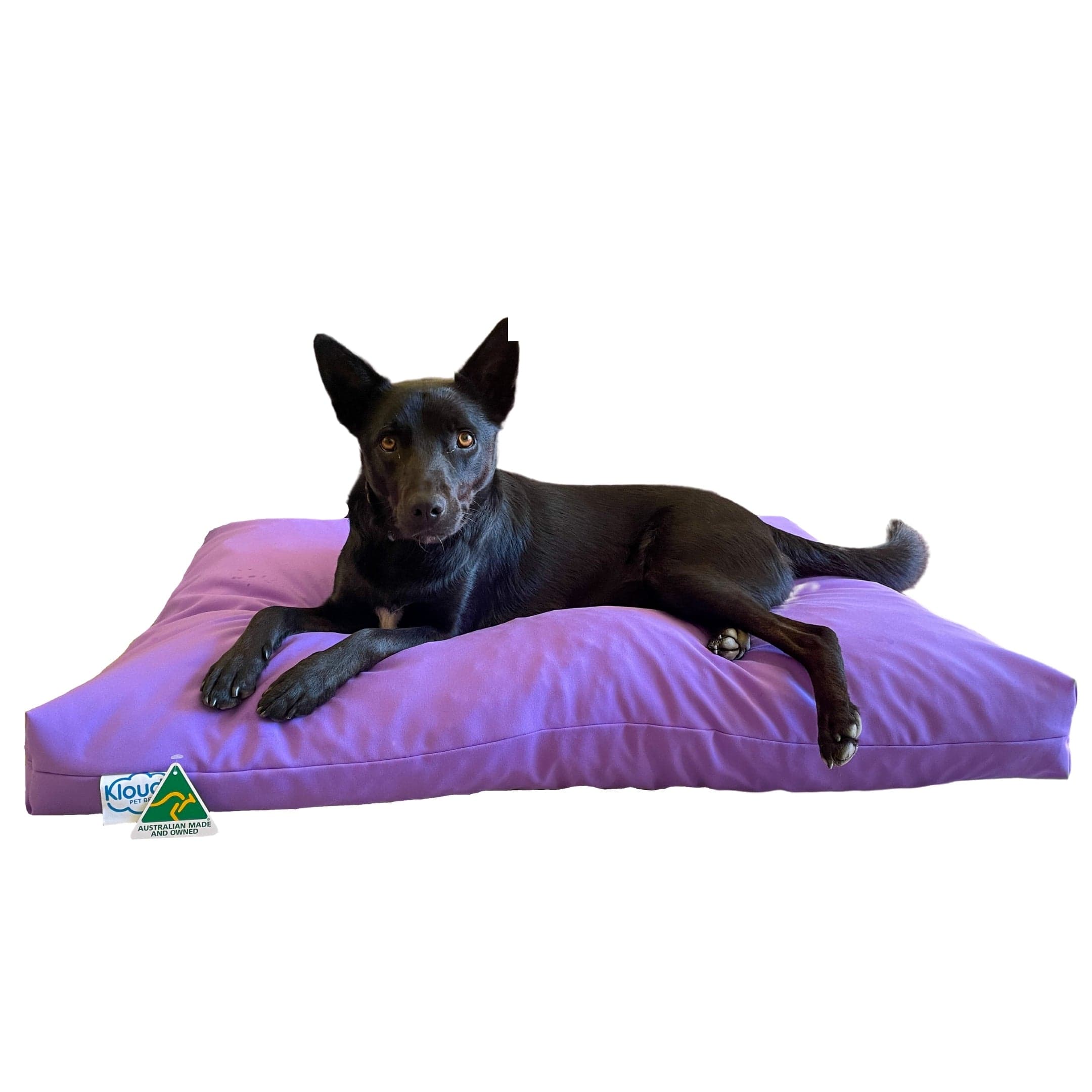 Kloud9 Calming Dog Bed-Dog Bed-Rover Pet Products