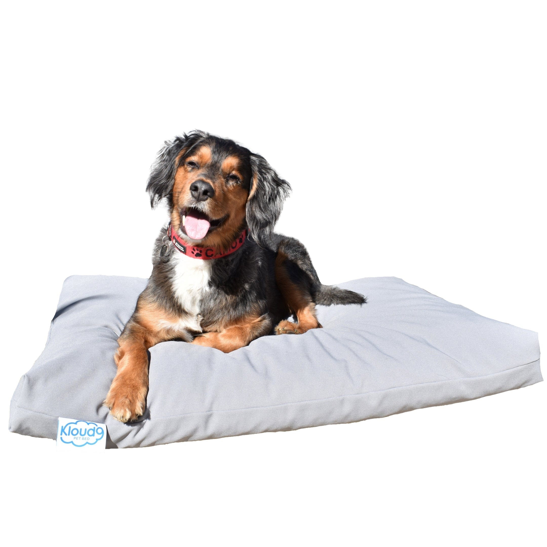 Kloud9 Calming Dog Bed-Dog Bed-Rover Pet Products