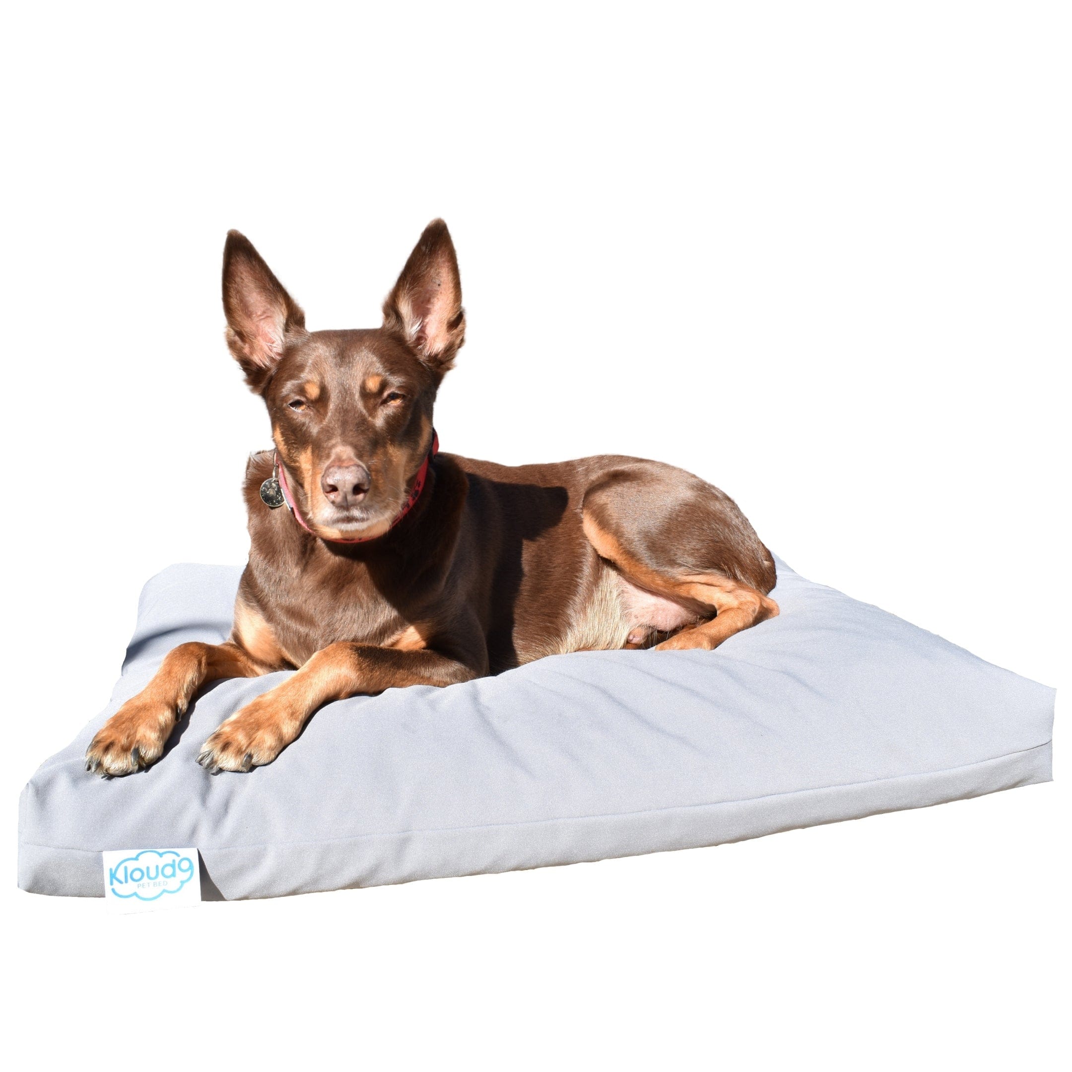 Kloud9 Calming Dog Bed-Dog Bed-Rover Pet Products
