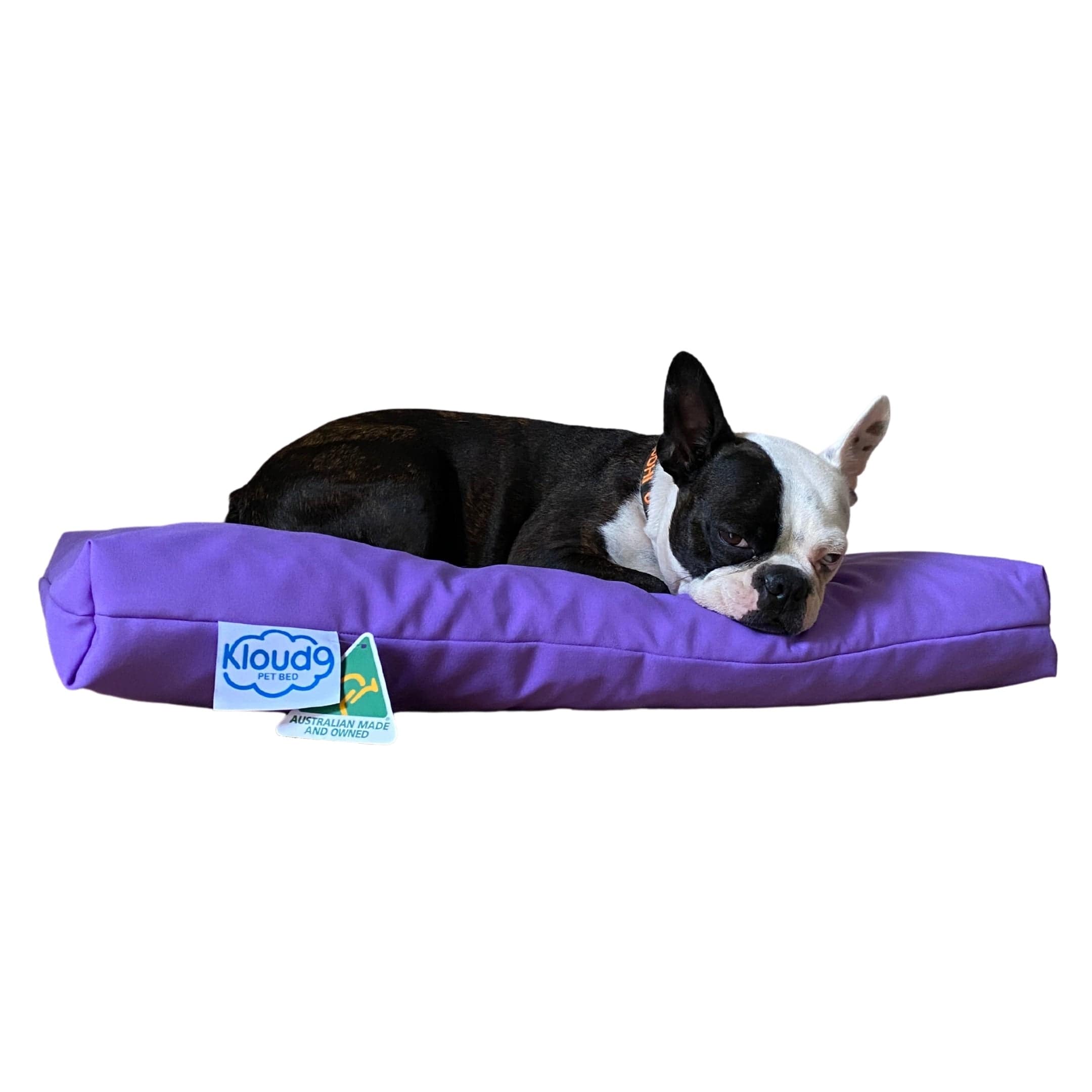 Kloud9 Calming Dog Bed-Dog Bed-Rover Pet Products