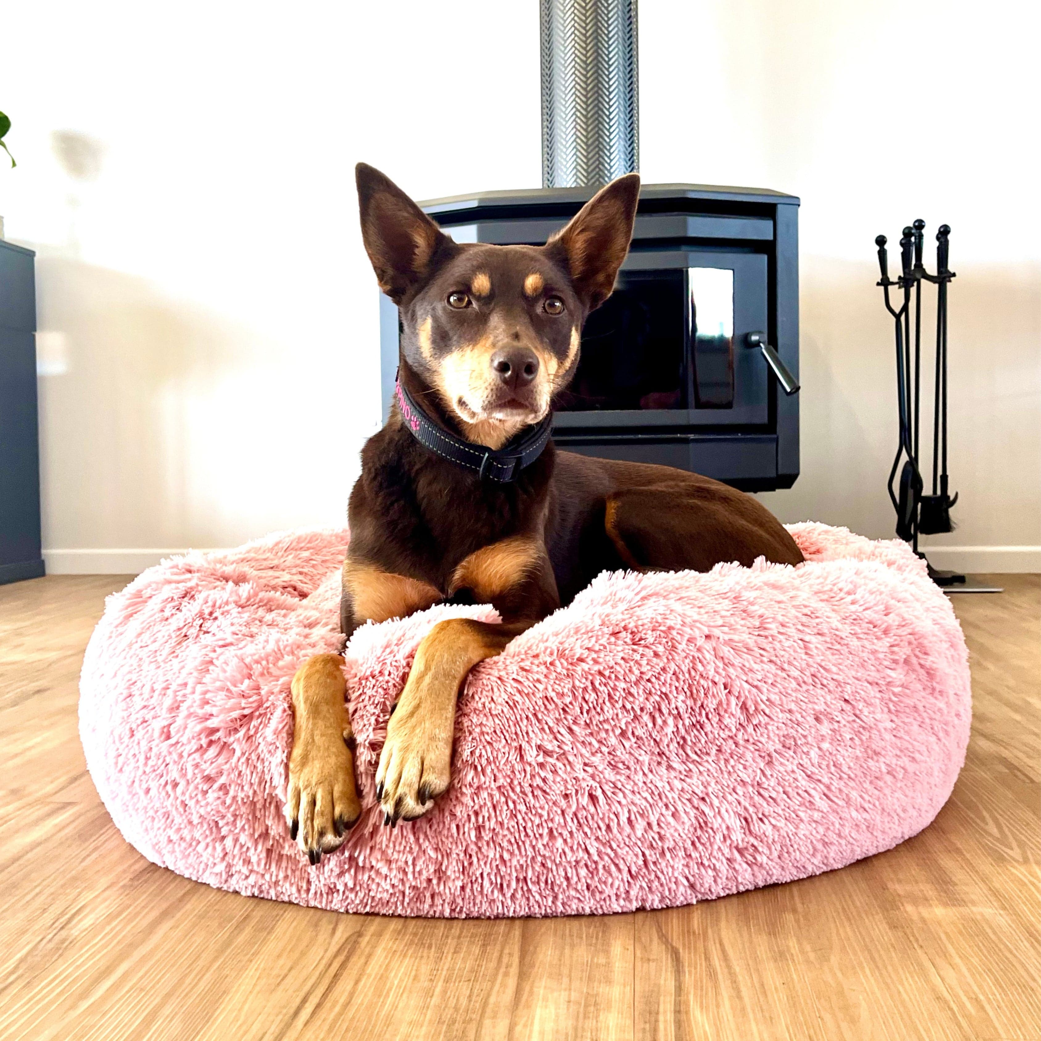 Kloud9 Teddy Extra Cover-Rover Pet Products