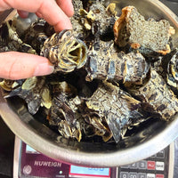 Crocodile Rolls – Australian Made, Lean & Crunchy