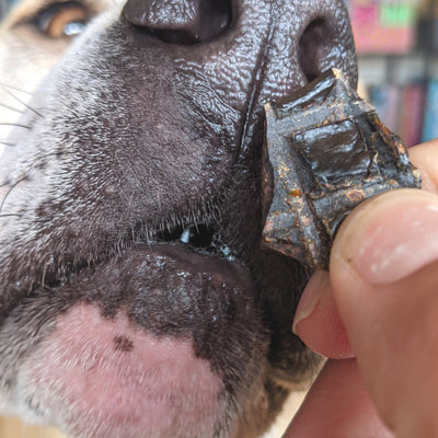 Goat Liver Dog Treats – Aussie Hypoallergenic & Iron-Rich
