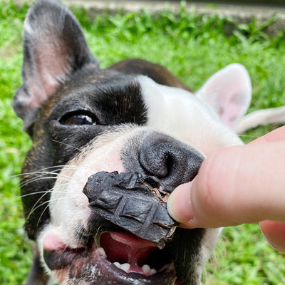 Wild Boar Liver Dog Treats – Aussie Novel, Nutrient-Dense Snack