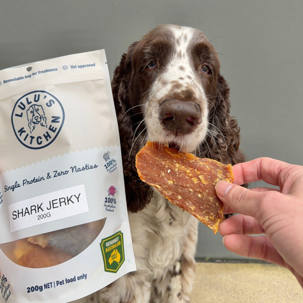 Shark Fillet Dog Treats – Aussie Made, Single Ingredient & High Protein Fish Chew