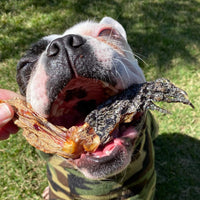 CROC'S LOOSE-Dog Treat-Rover Pet Products