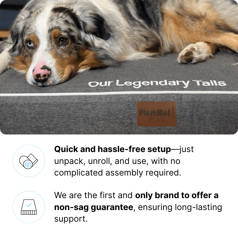 Luxury Dog Bed-Dog Bed-Rover Pet Products