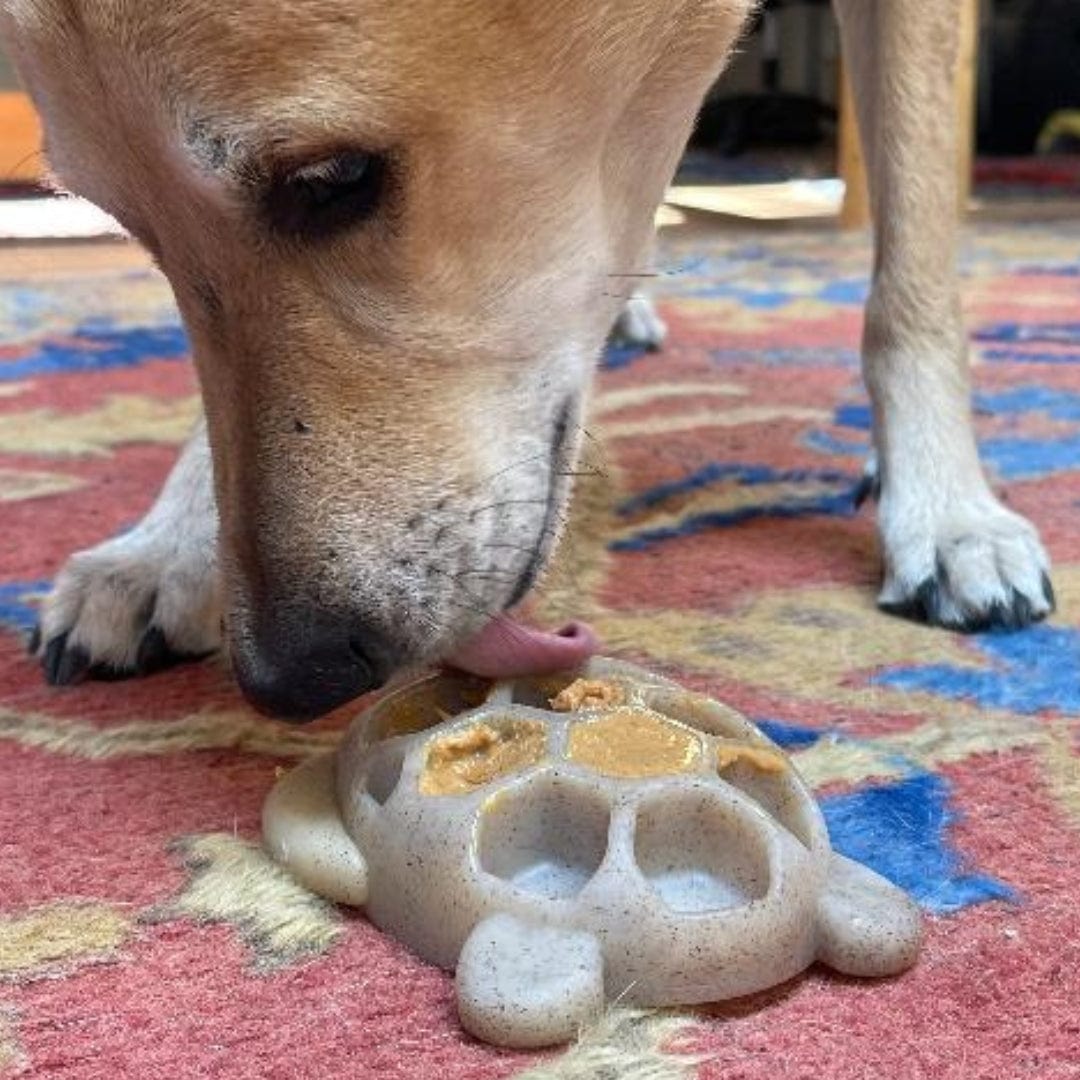 Nylon Turtle-Dog Toy-Rover Pet Products