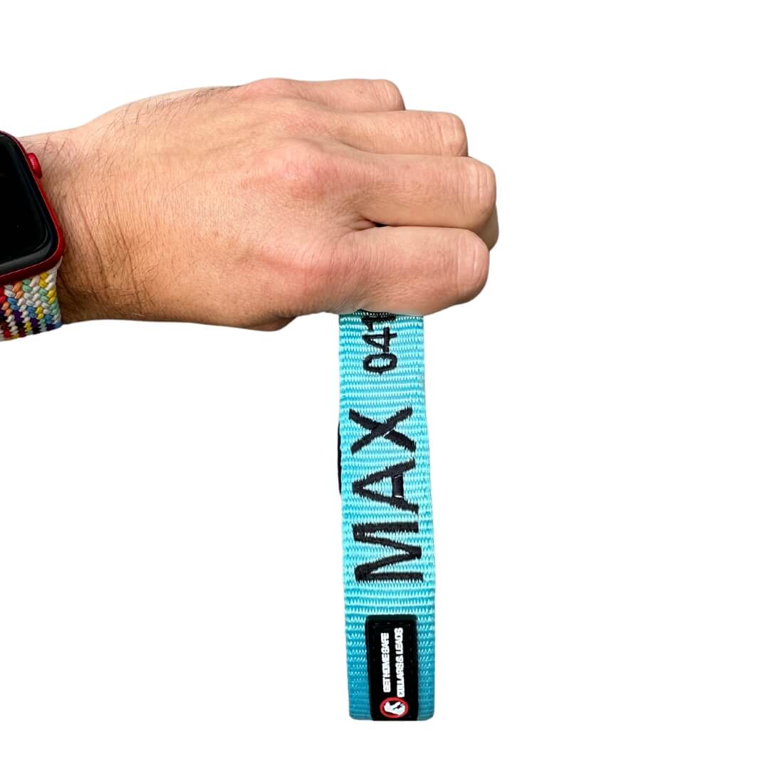 Originals-Dog Collar-Rover Pet Products