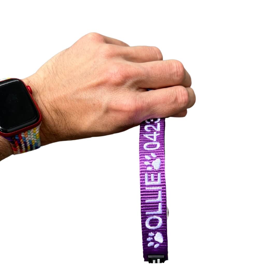 Originals-Dog Collar-Rover Pet Products