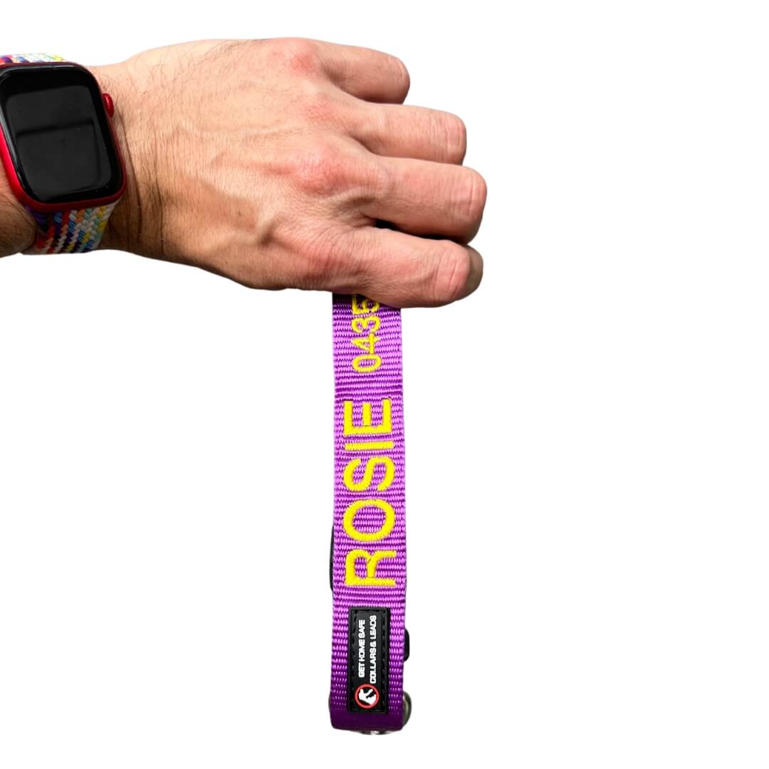 Originals-Dog Collar-Rover Pet Products